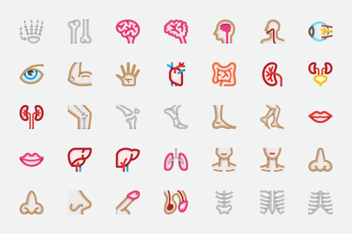 Basicons / People / Anatomy preview image.