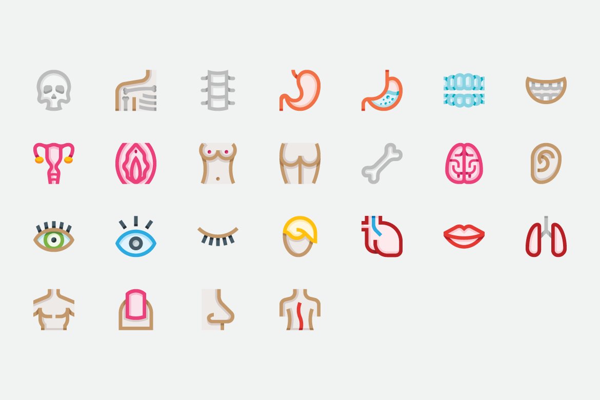ee icons set anatomy 28color29 preview 28ee29 1170x780px 02 512