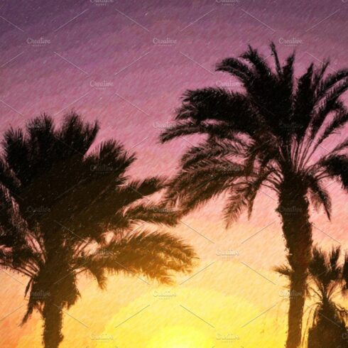 Palm tree, bright sunset, Tenerife cover image.