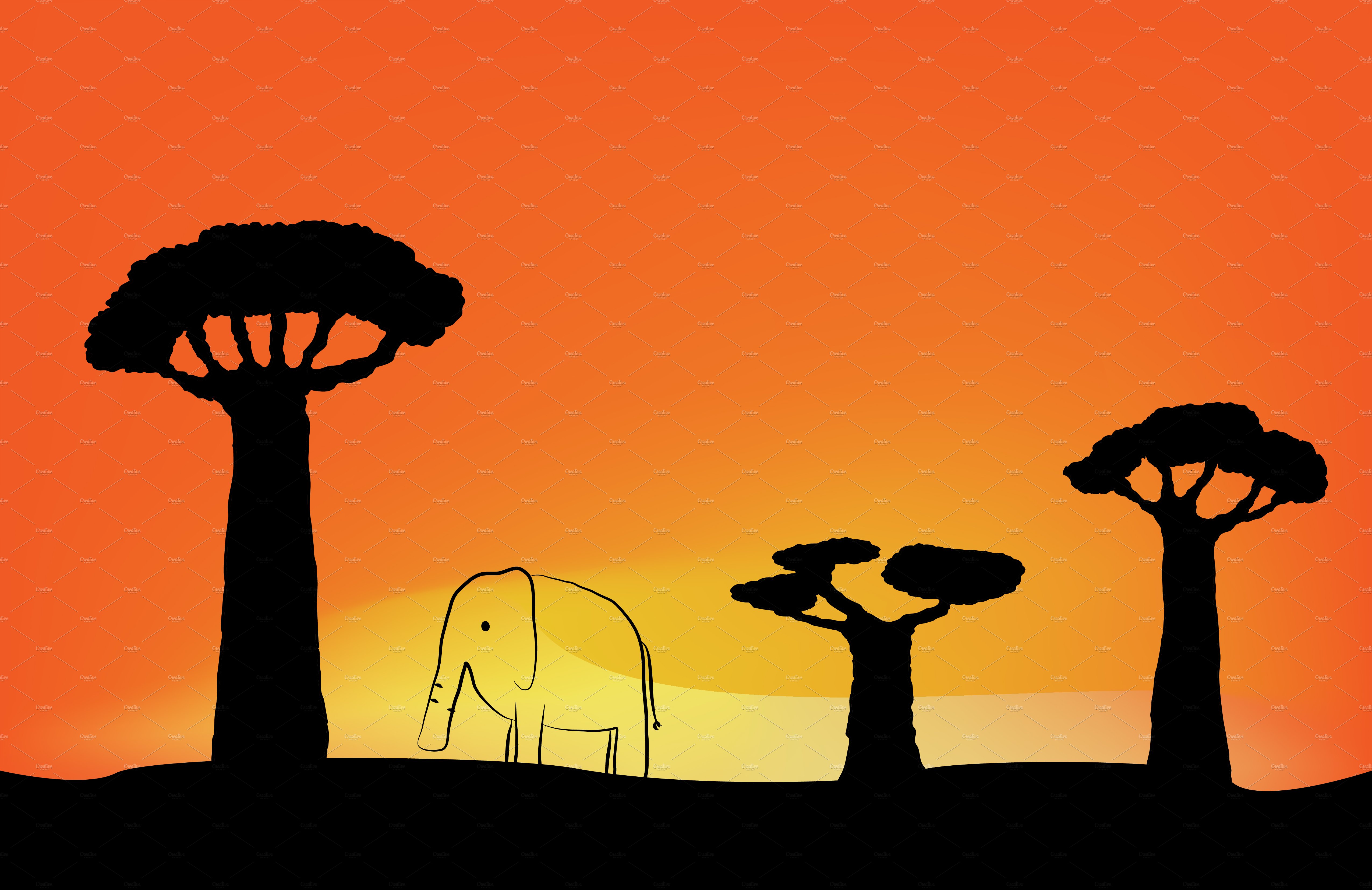 Elephant and baobabs sunset cover image.