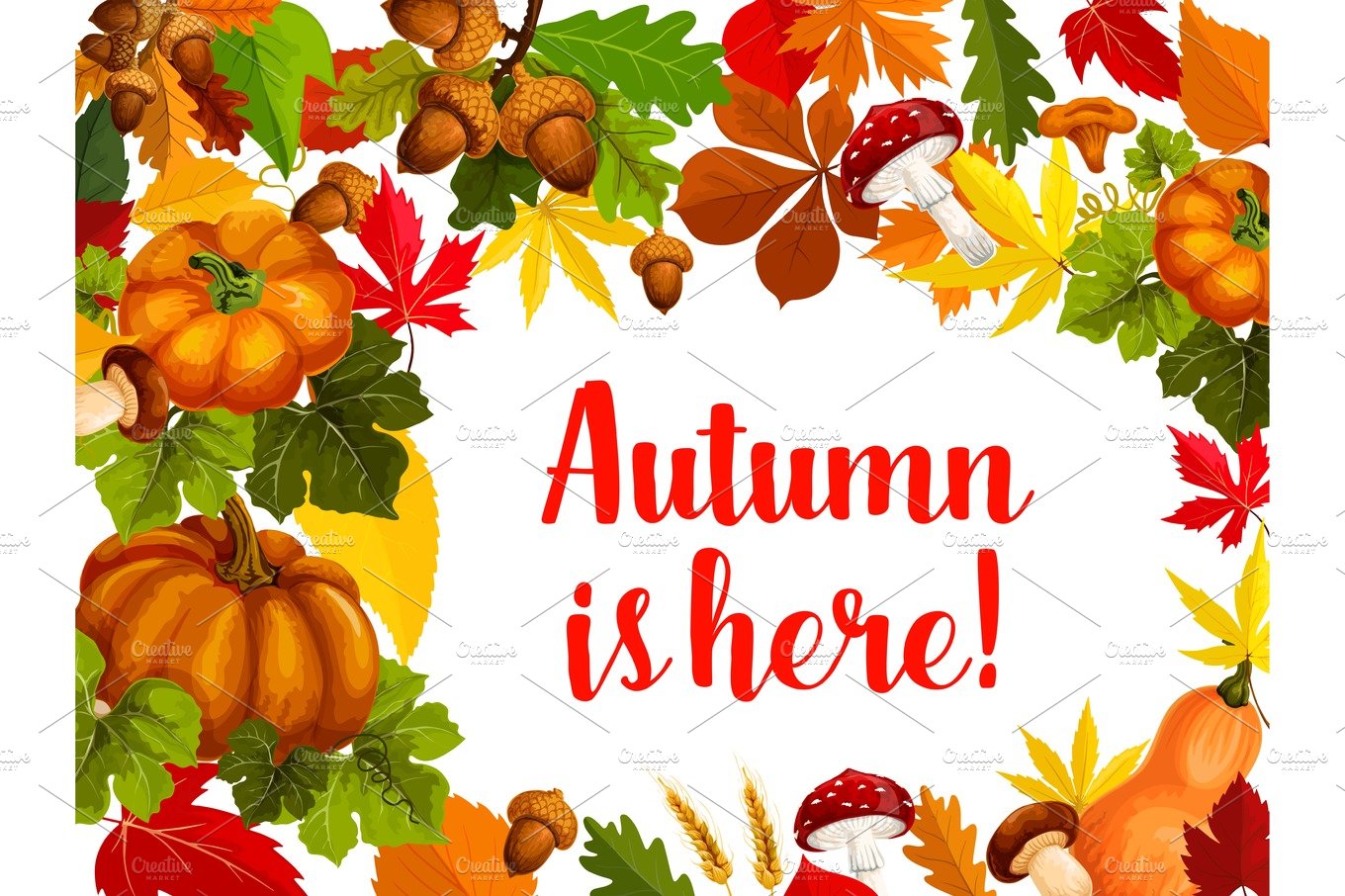 Autumn season poster with fall leaf and pumpkin cover image.