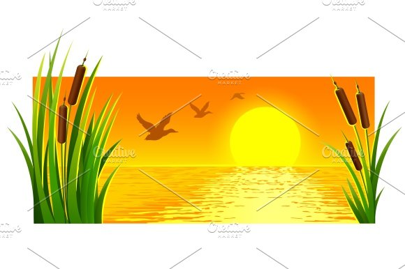 Landscape of sunset at lake reeds cover image.