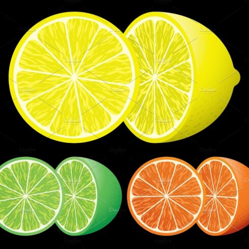 Set of citrus fruits cover image.