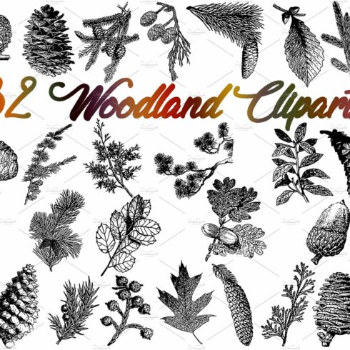 Sale 50% OFF 32 Woodland vectors cover image.