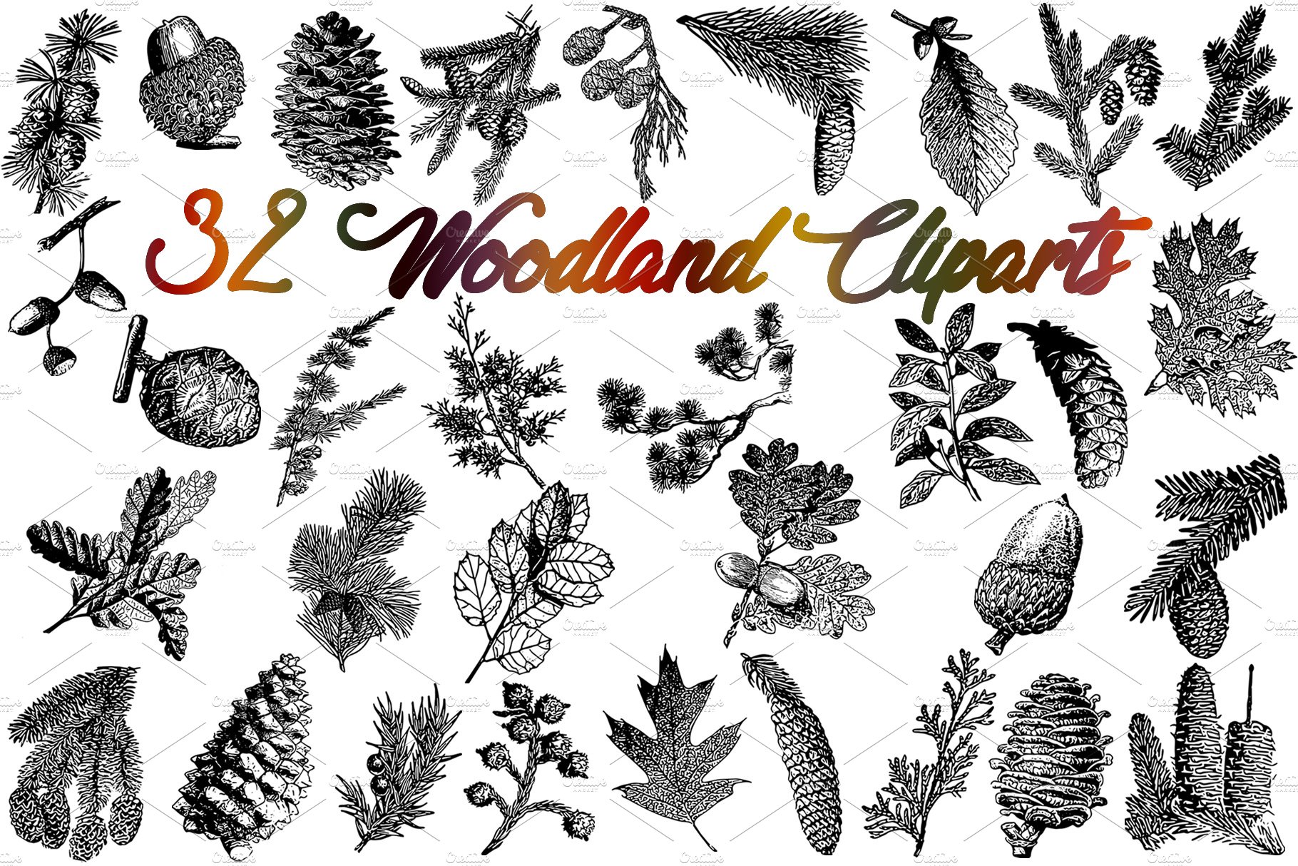 Sale 50% OFF 32 Woodland vectors cover image.