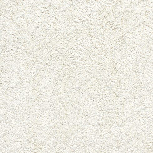 Seamless stucco wall plaster texture cover image.