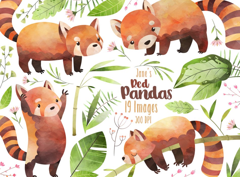 Watercolor Red Pandas Clipart cover image.