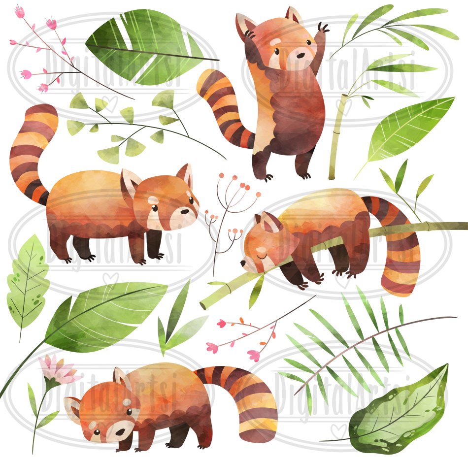 Watercolor Red Pandas Clipart preview image.