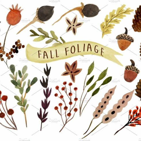 Fall foliage cover image.