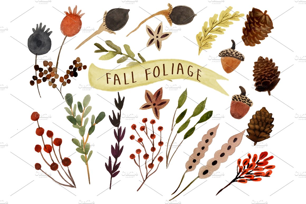 Fall foliage cover image.