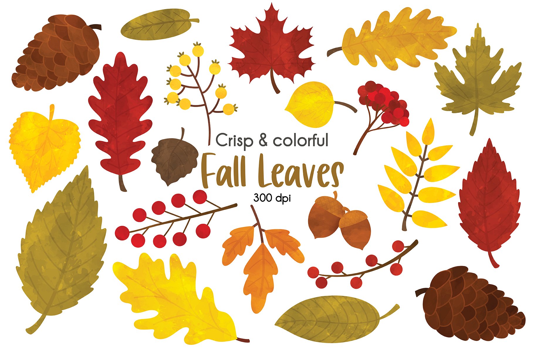 Fall Leaves Clipart cover image.