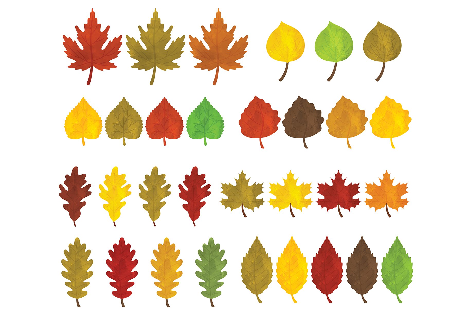 fall leaves clipart cm3 355