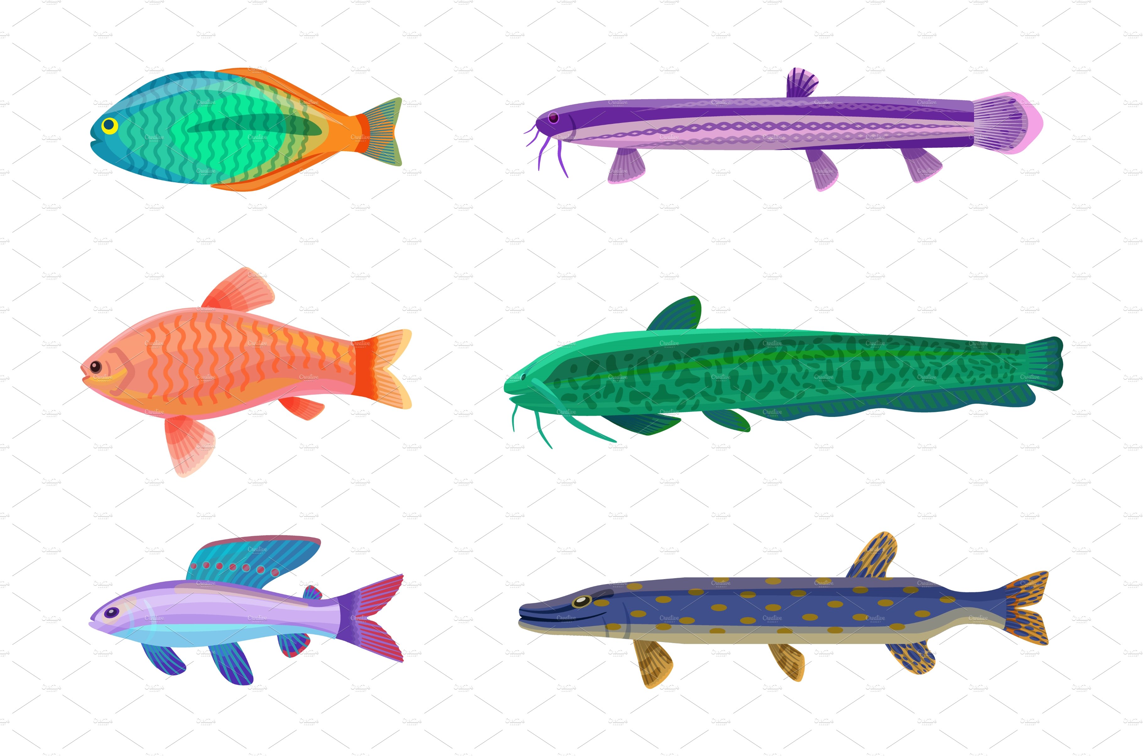 Jewel Cichlid and Brook Set Vector cover image.