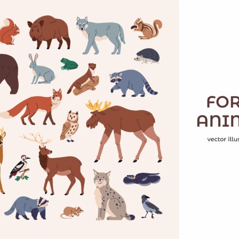Wild forest animals and birds set cover image.