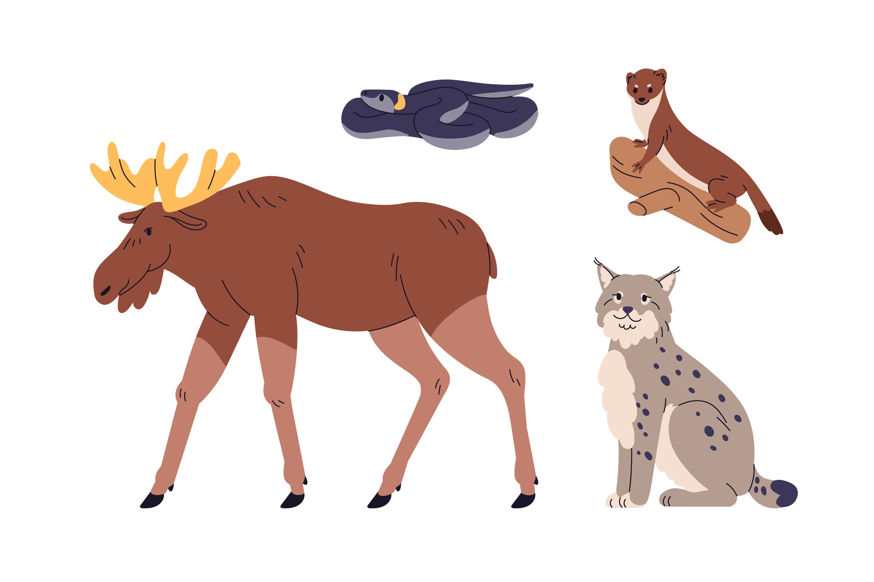 forest animals set 05 237