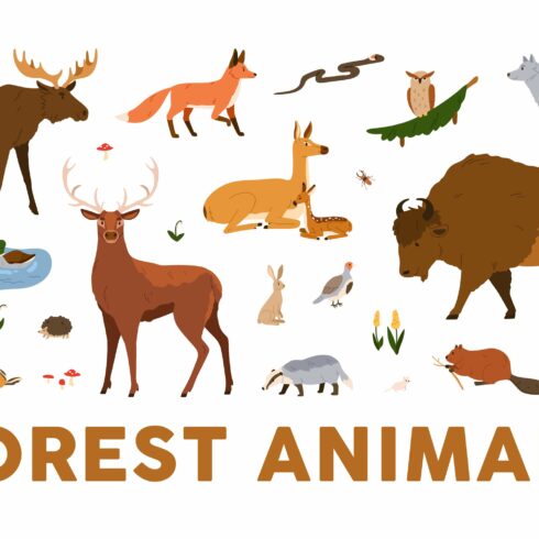 Wild forest animals set cover image.