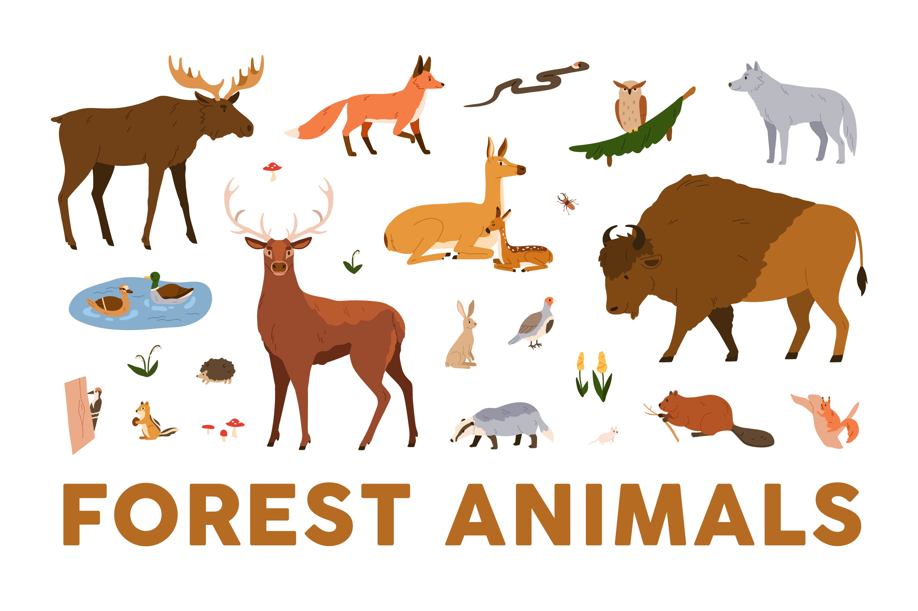 Wild forest animals set cover image.