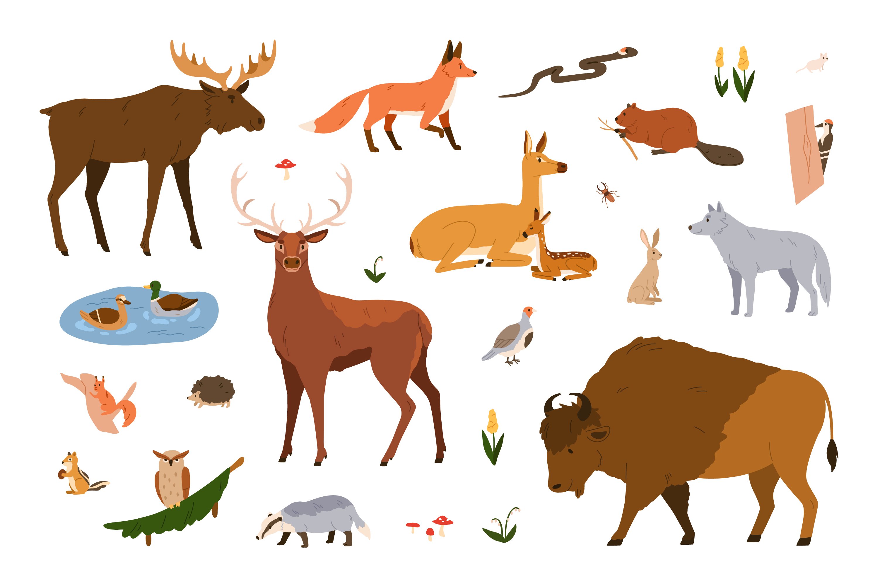 Wild forest animals set preview image.