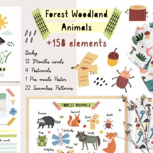 Forest Woodland Animals cover image.