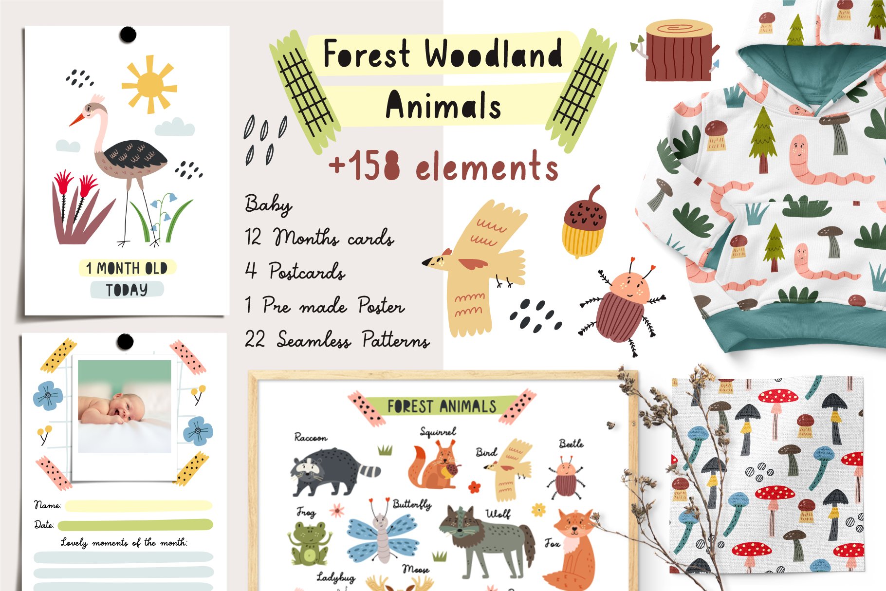 Forest Woodland Animals cover image.