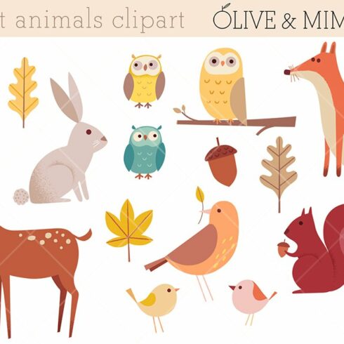 Forest animals set cover image.