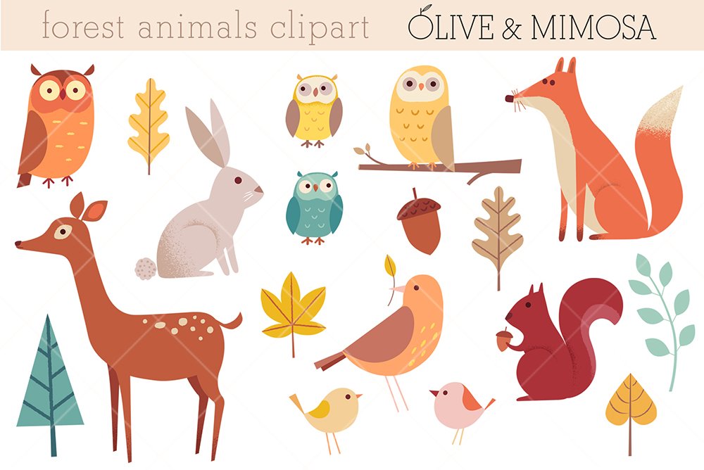 Forest animals set cover image.