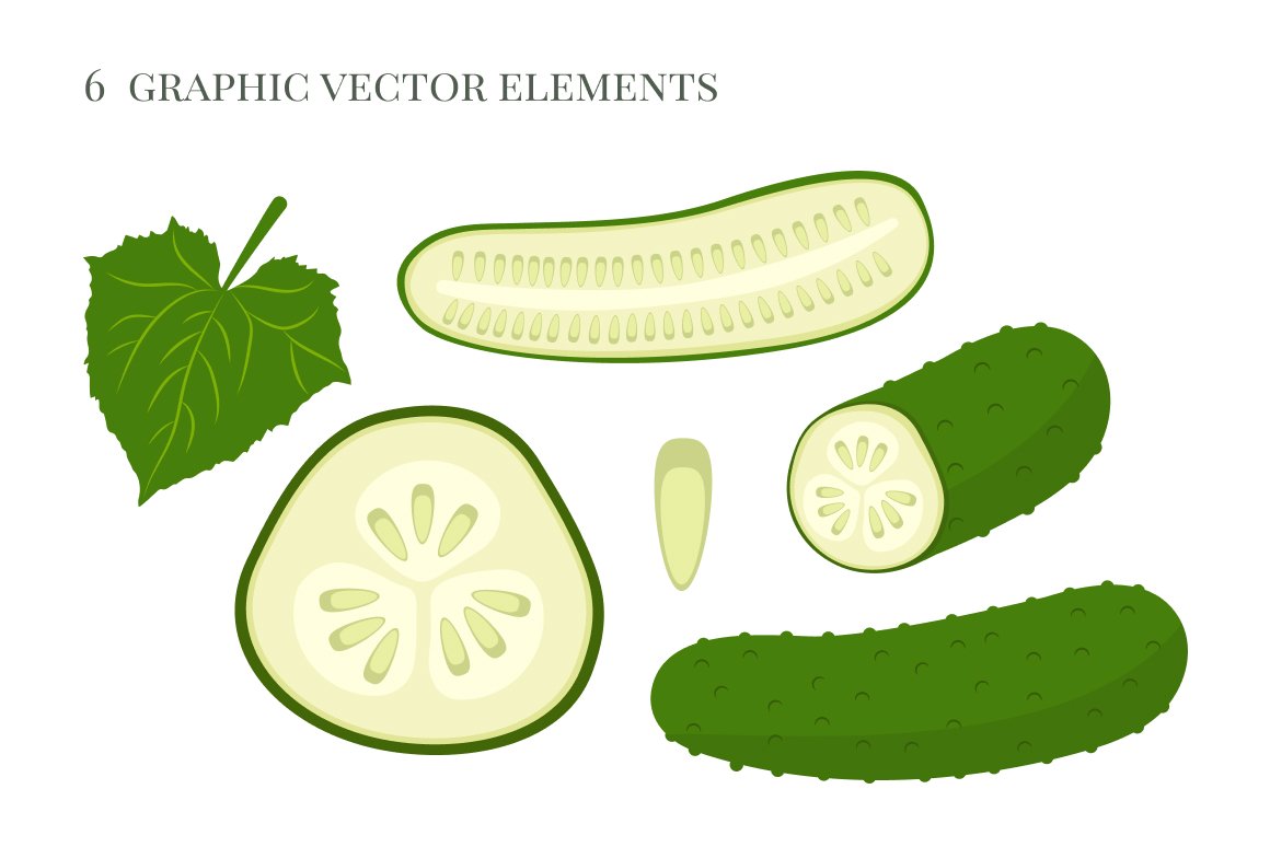 Seamless vector cucumber patterns preview image.
