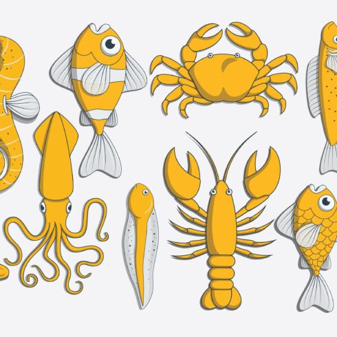 Sea creature illustrations cover image.