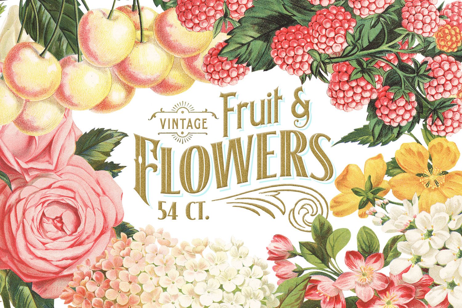 MASSIVE Vintage Fruit and Flowers cover image.