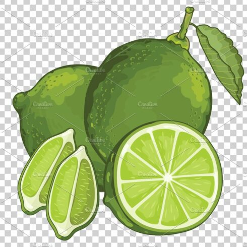 Lime Isolated, Vector. cover image.