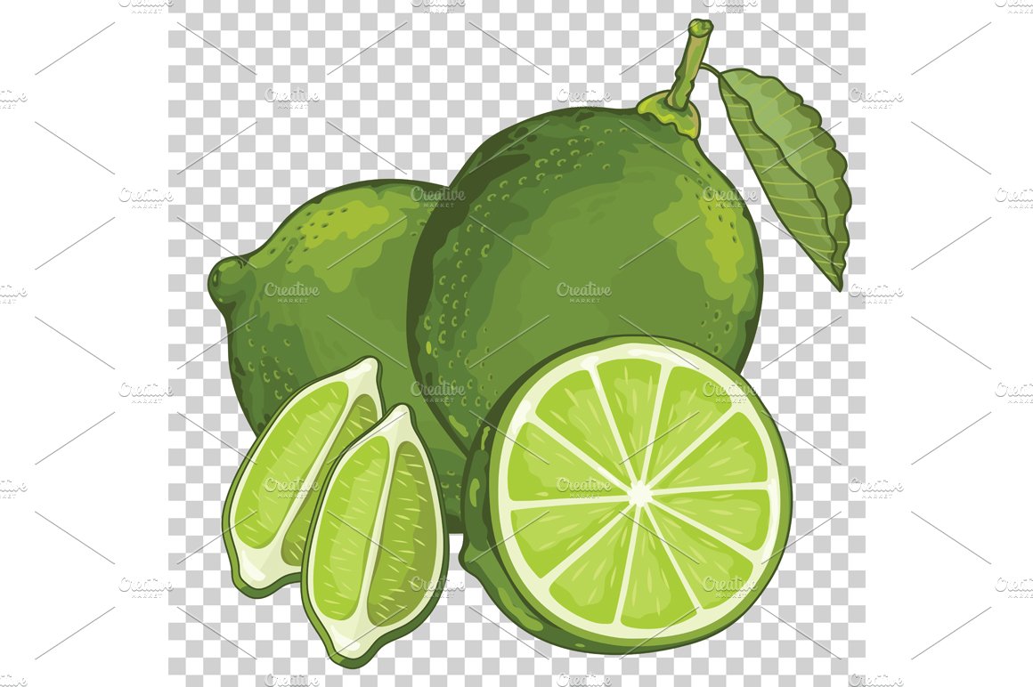 Lime Isolated, Vector. cover image.