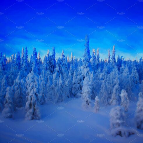 Winter fir forest during sunset illu cover image.