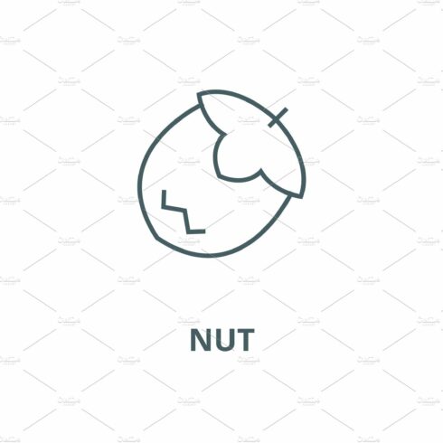 Nut vector line icon, linear concept cover image.