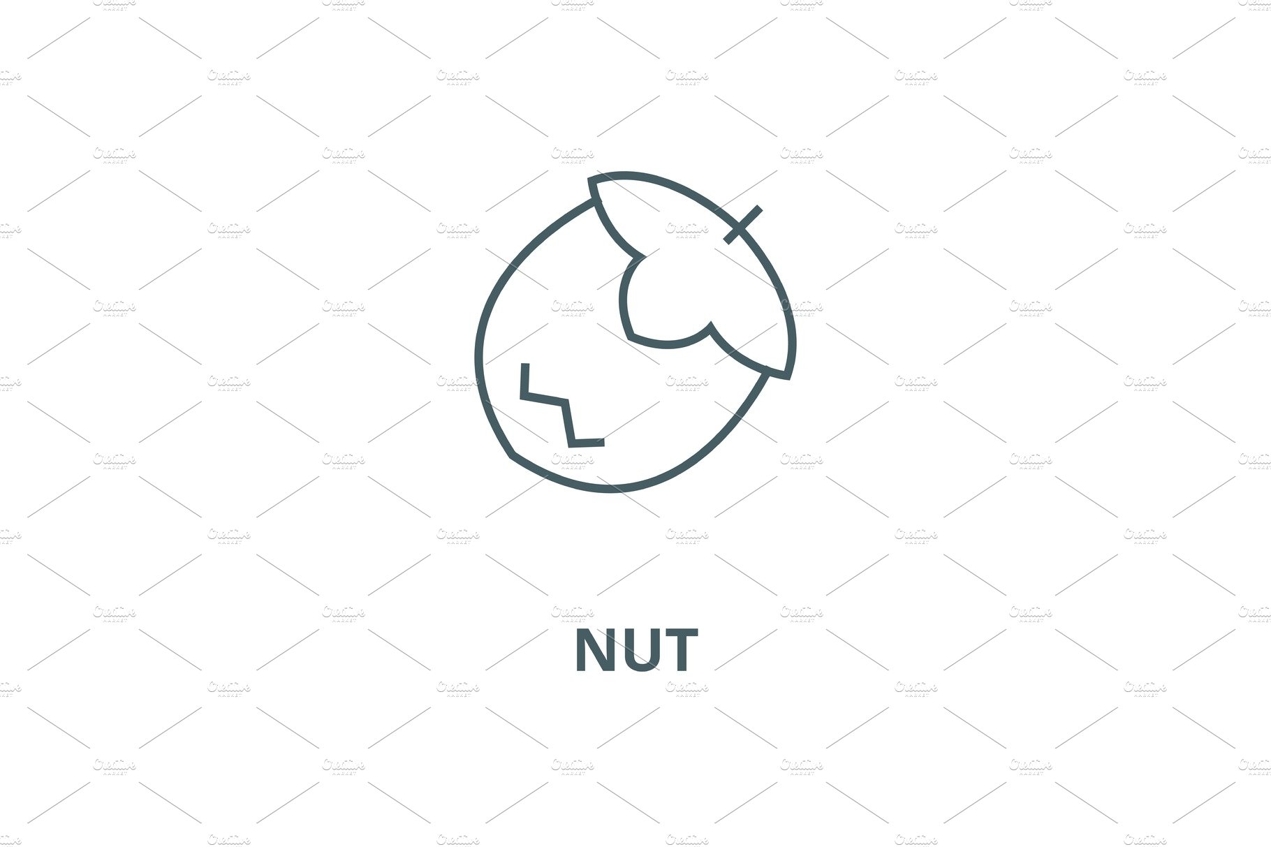 Nut vector line icon, linear concept cover image.