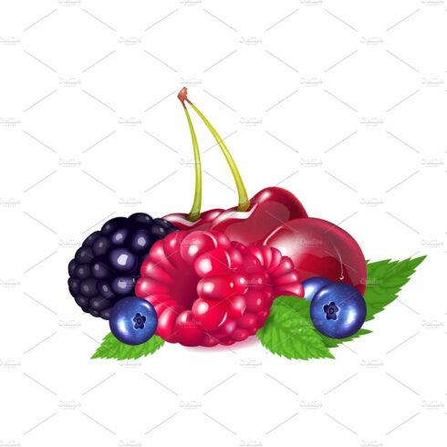 Ripe berries realistic illustration cover image.