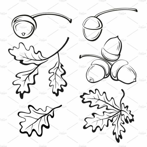 Oak Leaves and Acorns Pictograms cover image.