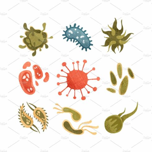 Collection of bacteria, germs and cover image.