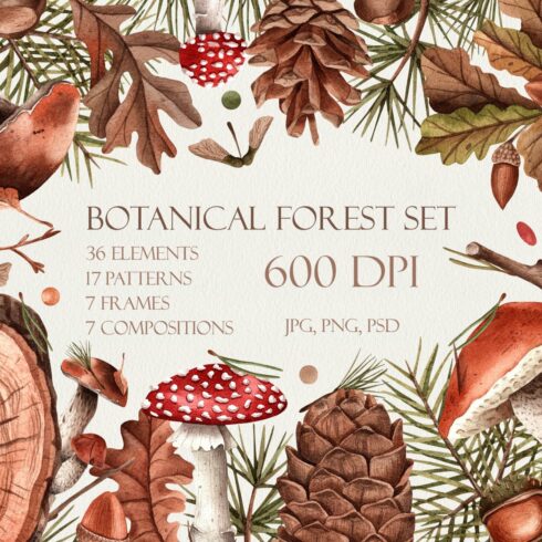 Watercolor botanical forest set cover image.