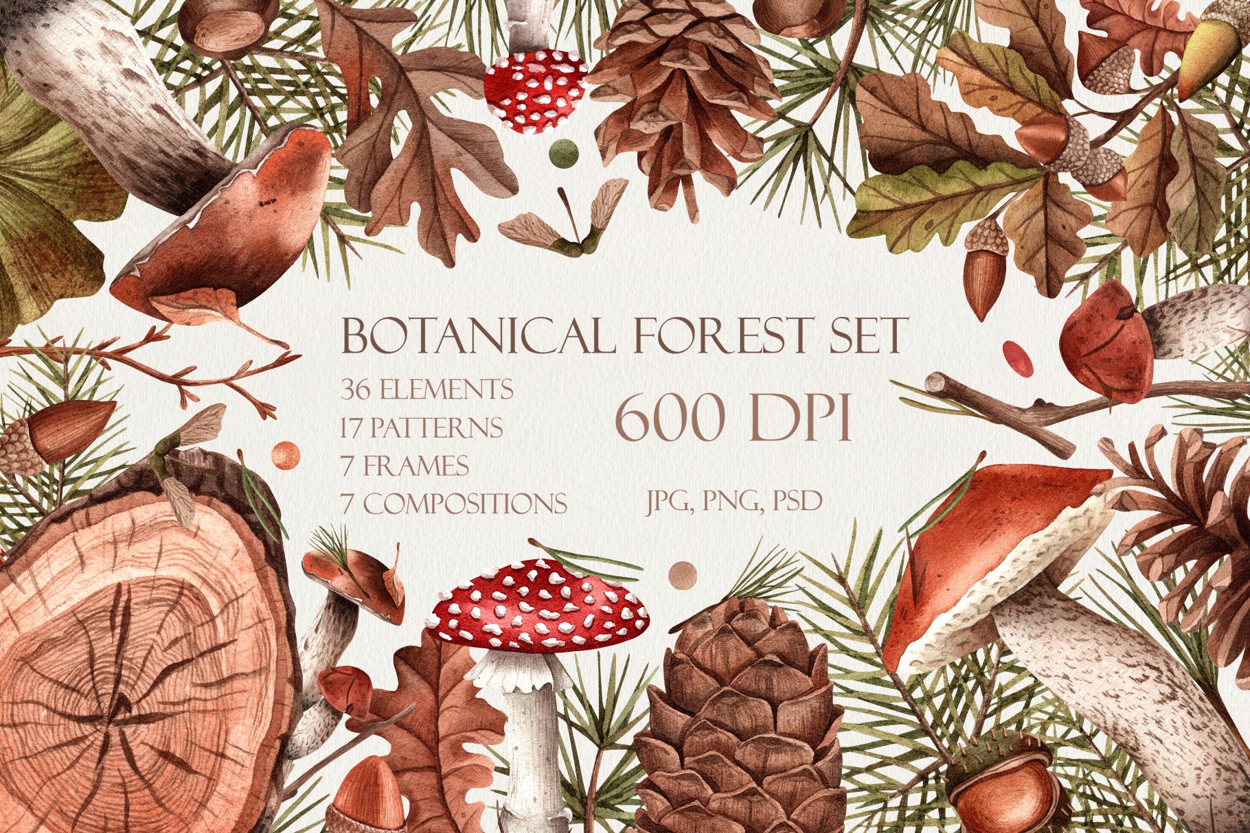 Watercolor botanical forest set cover image.