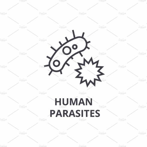 human parasites thin line icon, sign, symbol, illustation, linear concept, ... cover image.