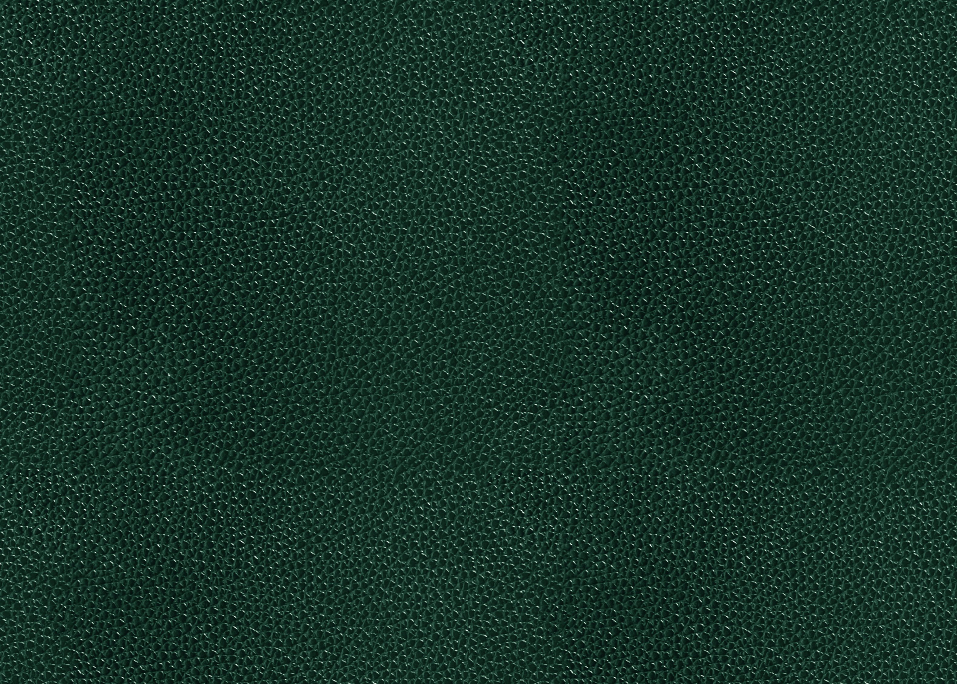 green leather texture 73