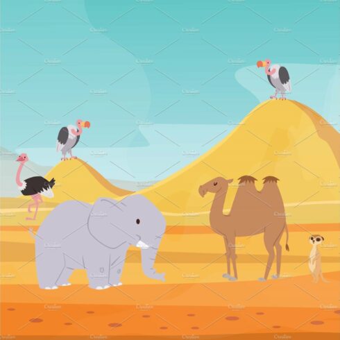 Africa desert landscape background cover image.