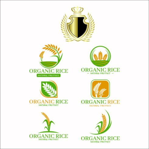 Oraganic Rice Logo Design cover image.
