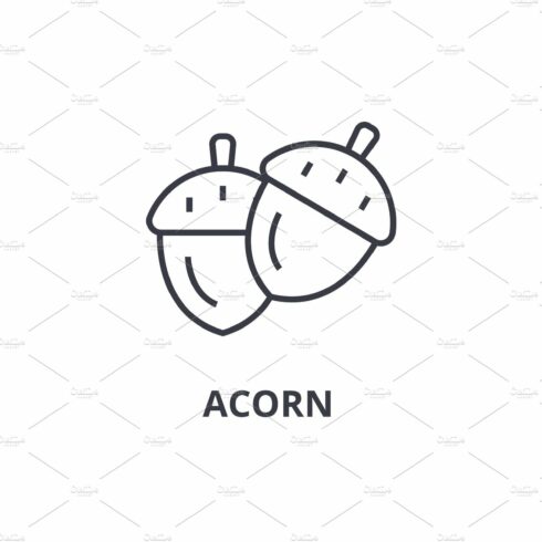 acorn line icon, outline sign, linear symbol, vector, flat illustration cover image.