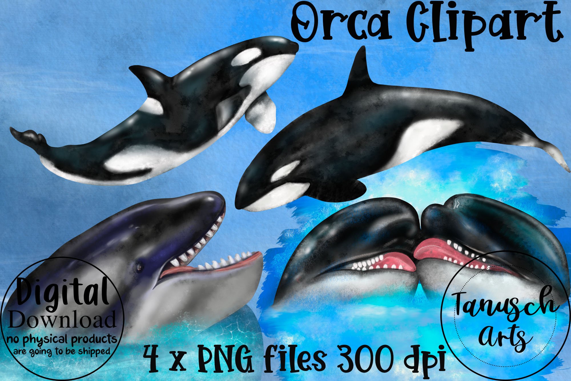 ORCA Clipart Lovely Killer Whale preview image.