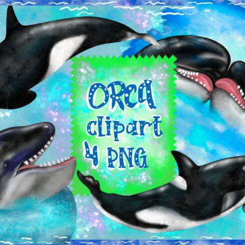 ORCA Clipart Lovely Killer Whale cover image.