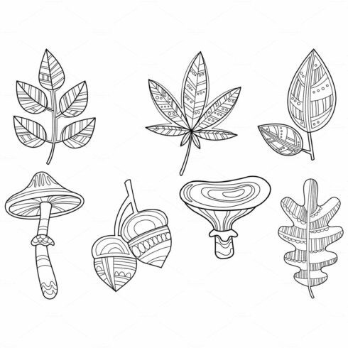 Collection of hand drawn plants cover image.