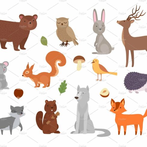 Wood animals. Cute wild characters cover image.