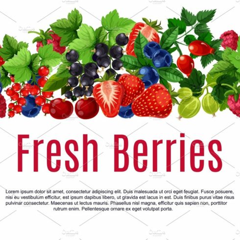 Fresh berries and fruits vector poster or banner cover image.