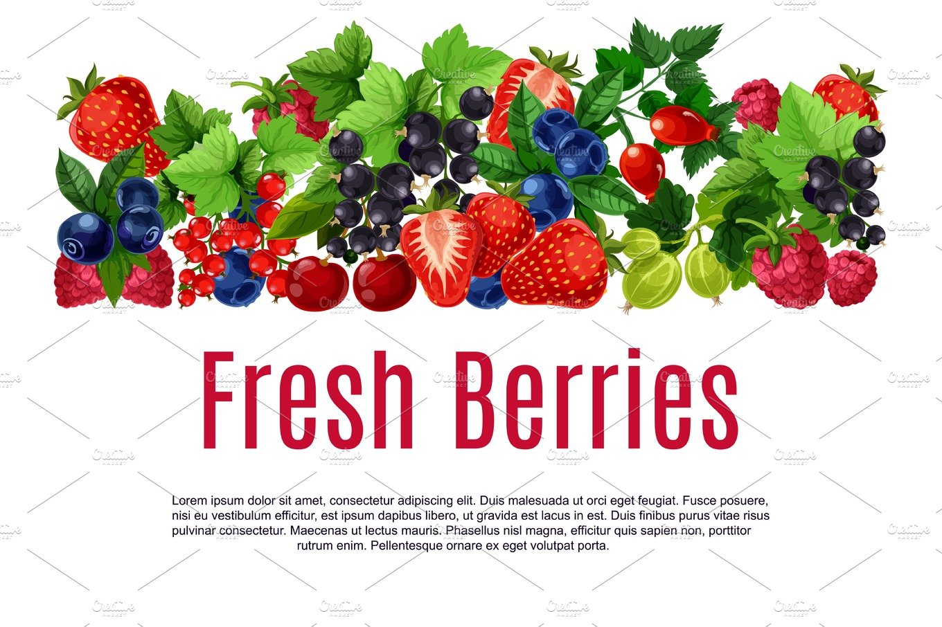 Fresh berries and fruits vector poster or banner cover image.